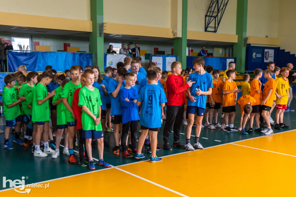 Enea Cup