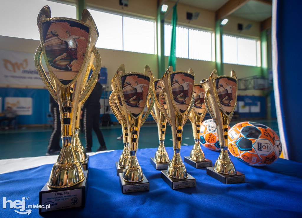 Enea Cup