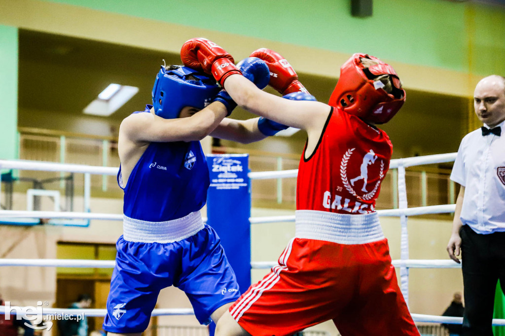 XIII Mistrzostwa Województwa Podkarpackiego w Boksie Olimpijskim