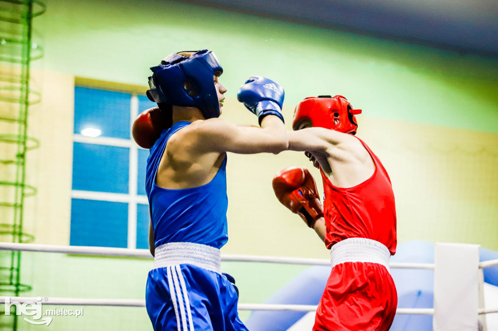 XIII Mistrzostwa Województwa Podkarpackiego w Boksie Olimpijskim