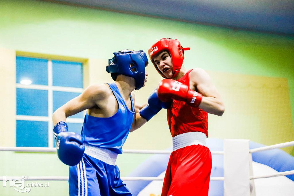 XIII Mistrzostwa Województwa Podkarpackiego w Boksie Olimpijskim