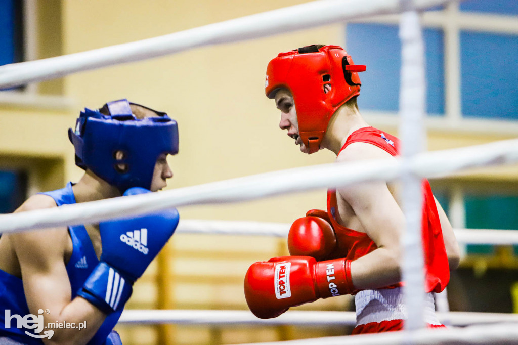 XIII Mistrzostwa Województwa Podkarpackiego w Boksie Olimpijskim