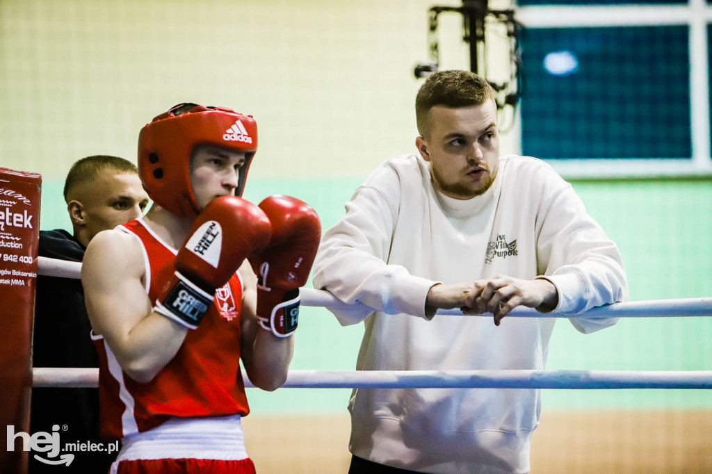 XIII Mistrzostwa Województwa Podkarpackiego w Boksie Olimpijskim