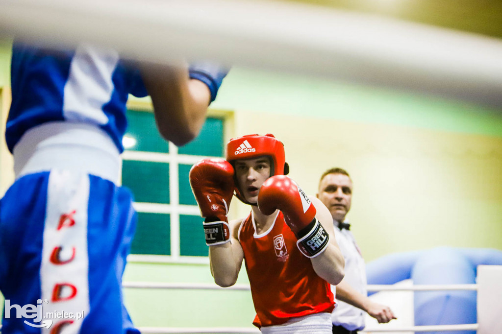 XIII Mistrzostwa Województwa Podkarpackiego w Boksie Olimpijskim