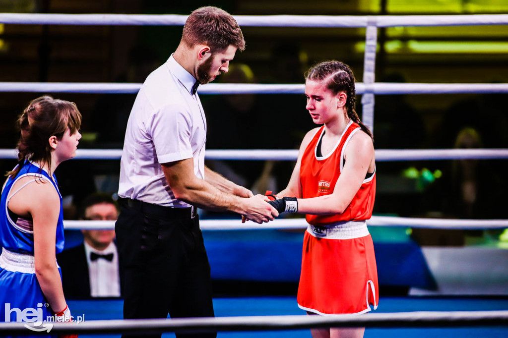 Mistrzostw Podkarpacia w Boksie Olimpijskim - gala finałowa