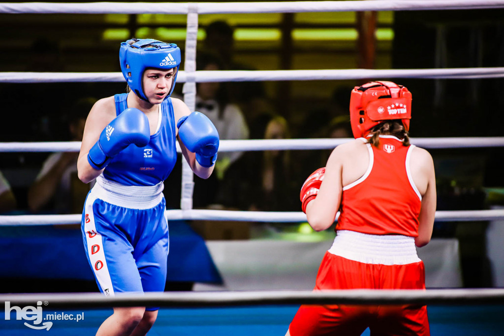 Mistrzostw Podkarpacia w Boksie Olimpijskim - gala finałowa