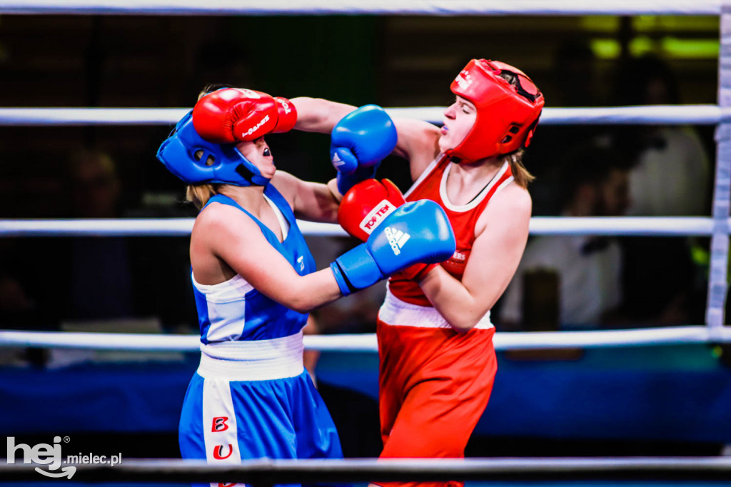 Mistrzostw Podkarpacia w Boksie Olimpijskim - gala finałowa