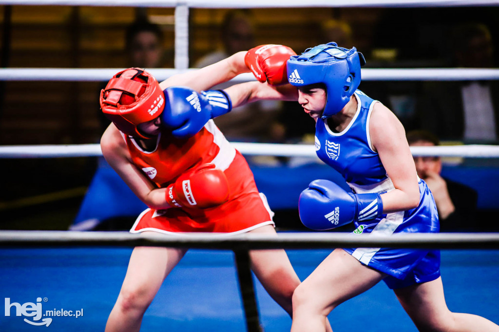 Mistrzostw Podkarpacia w Boksie Olimpijskim - gala finałowa