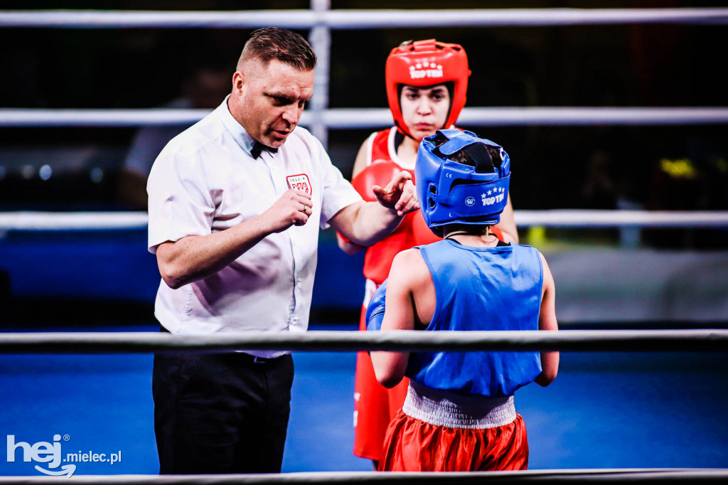 Mistrzostw Podkarpacia w Boksie Olimpijskim - gala finałowa