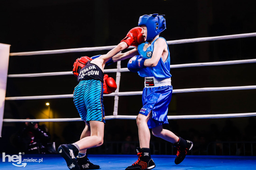 Mistrzostw Podkarpacia w Boksie Olimpijskim - gala finałowa