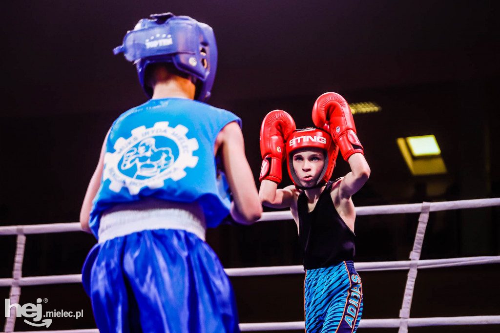 Mistrzostw Podkarpacia w Boksie Olimpijskim - gala finałowa