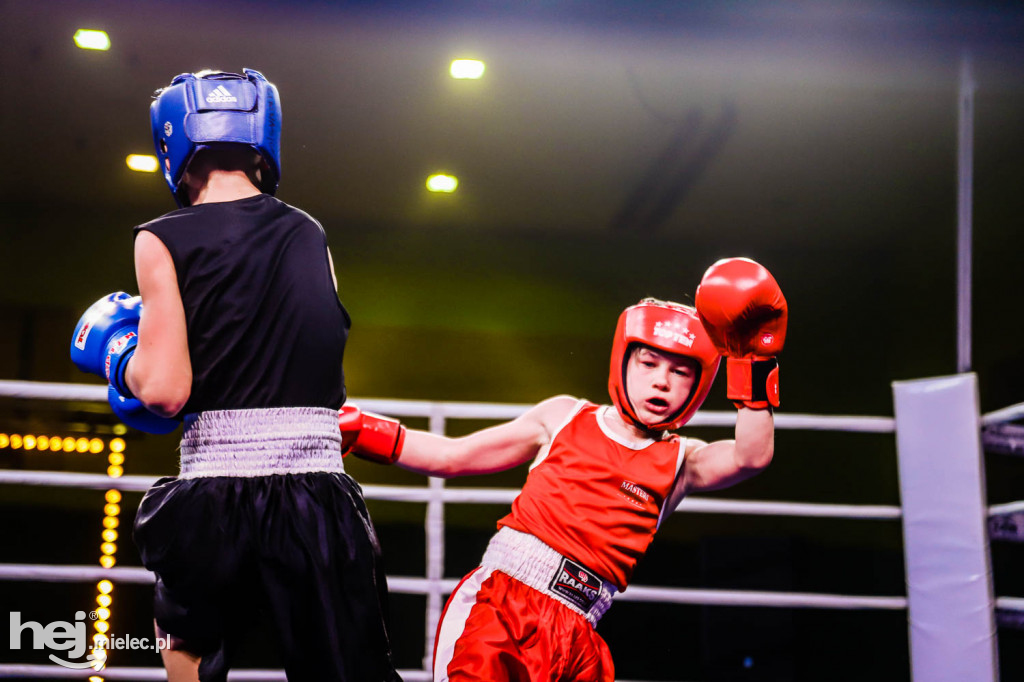 Mistrzostw Podkarpacia w Boksie Olimpijskim - gala finałowa