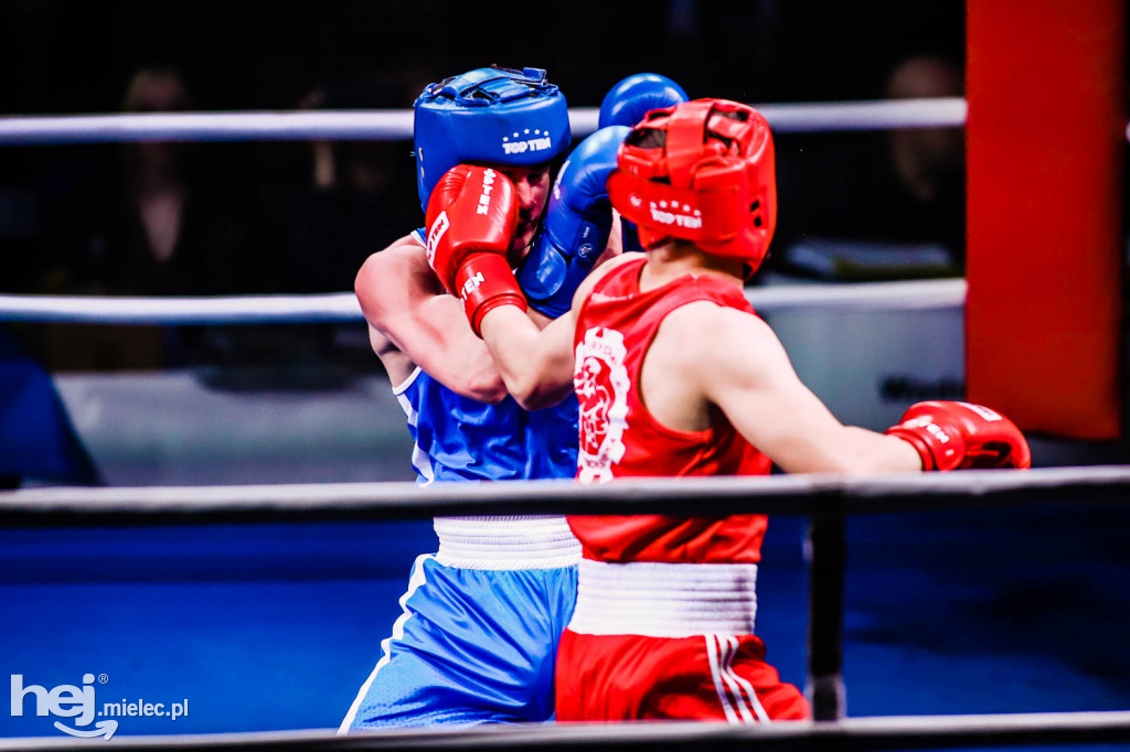 Mistrzostw Podkarpacia w Boksie Olimpijskim - gala finałowa