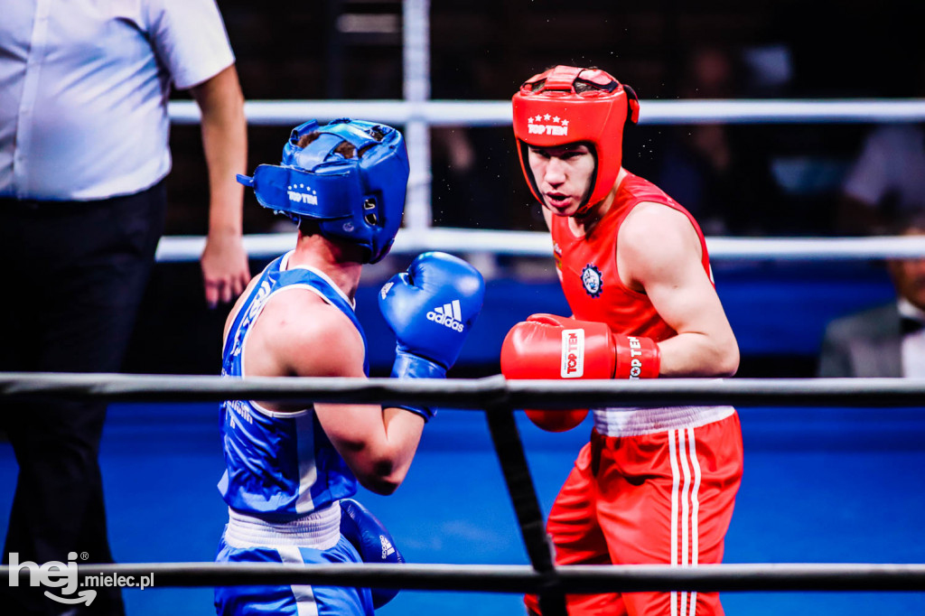 Mistrzostw Podkarpacia w Boksie Olimpijskim - gala finałowa