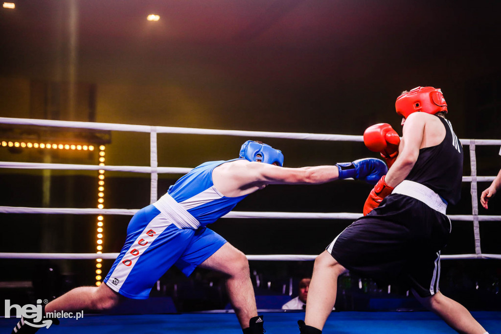 Mistrzostw Podkarpacia w Boksie Olimpijskim - gala finałowa