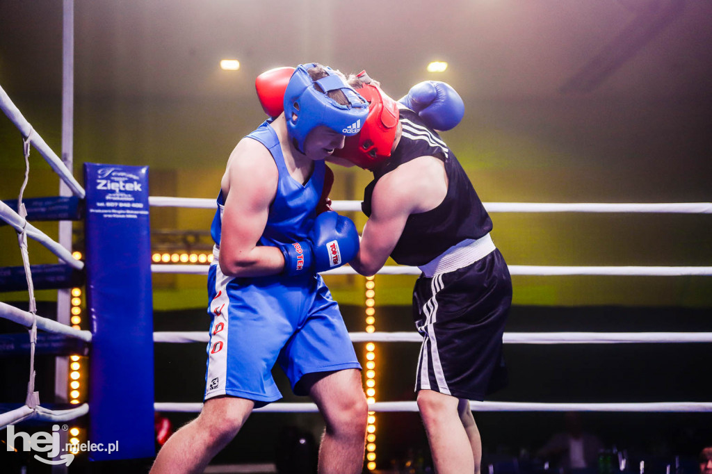 Mistrzostw Podkarpacia w Boksie Olimpijskim - gala finałowa