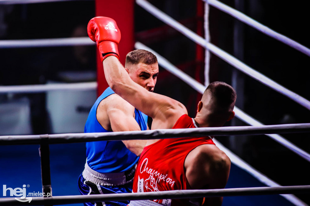 Mistrzostw Podkarpacia w Boksie Olimpijskim - gala finałowa