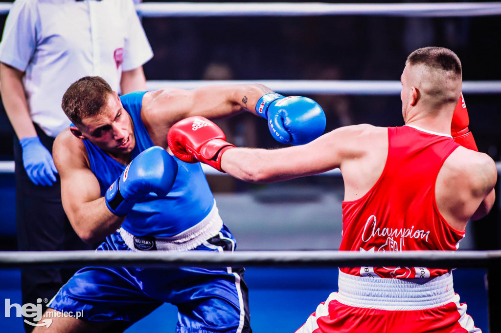 Mistrzostw Podkarpacia w Boksie Olimpijskim - gala finałowa