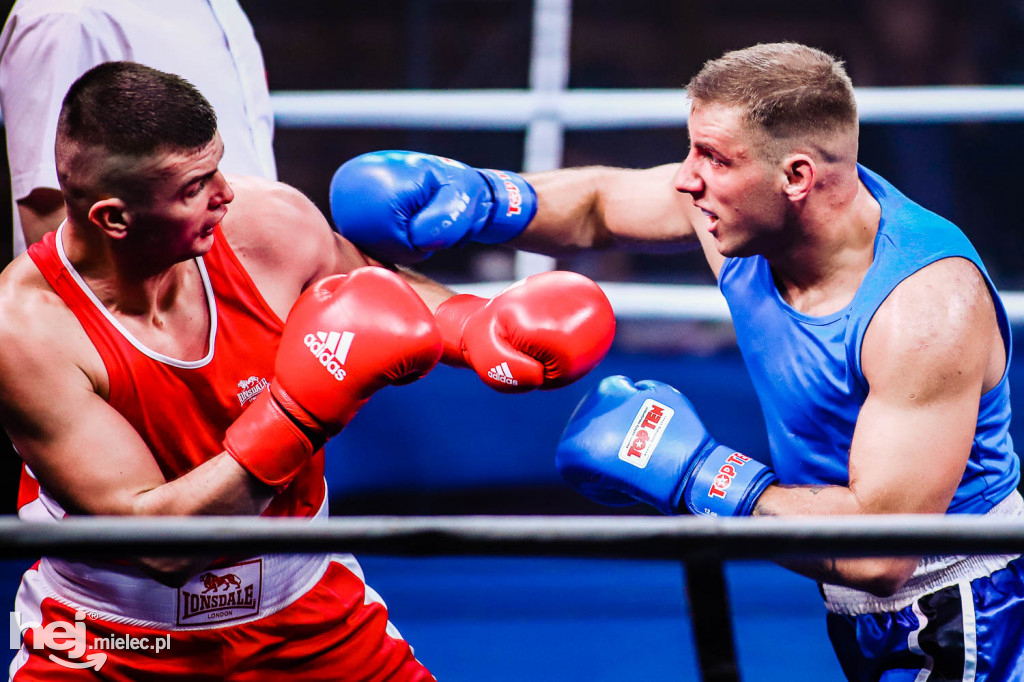 Mistrzostw Podkarpacia w Boksie Olimpijskim - gala finałowa