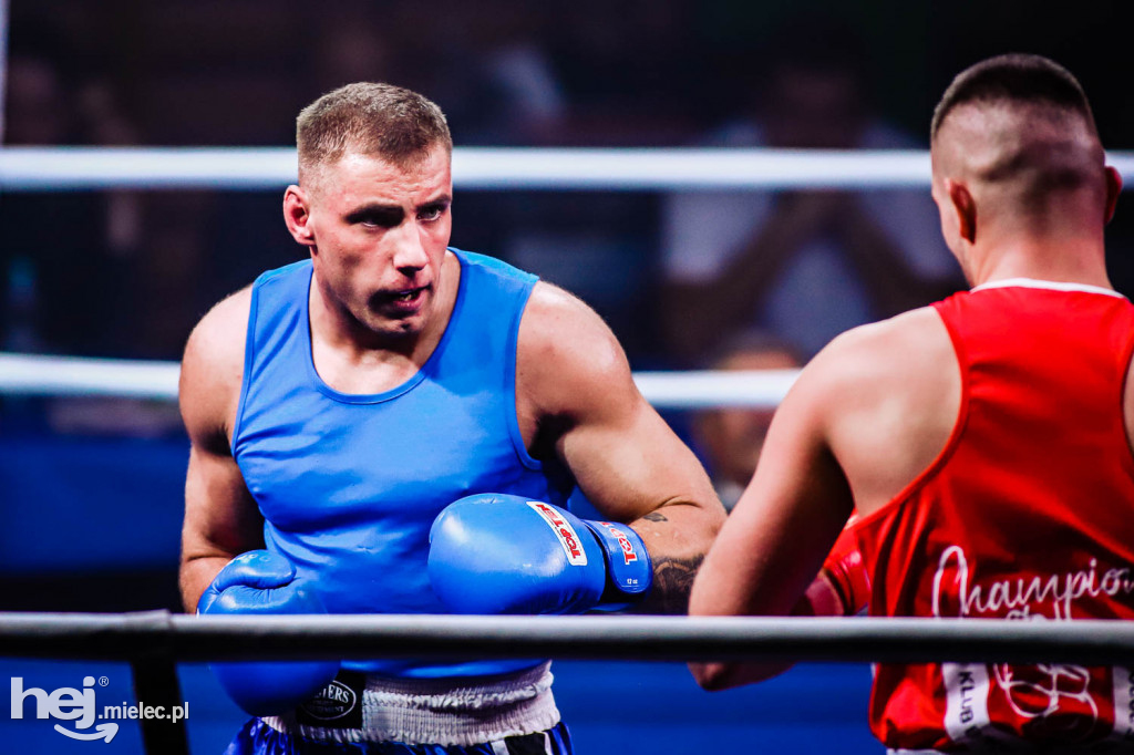 Mistrzostw Podkarpacia w Boksie Olimpijskim - gala finałowa