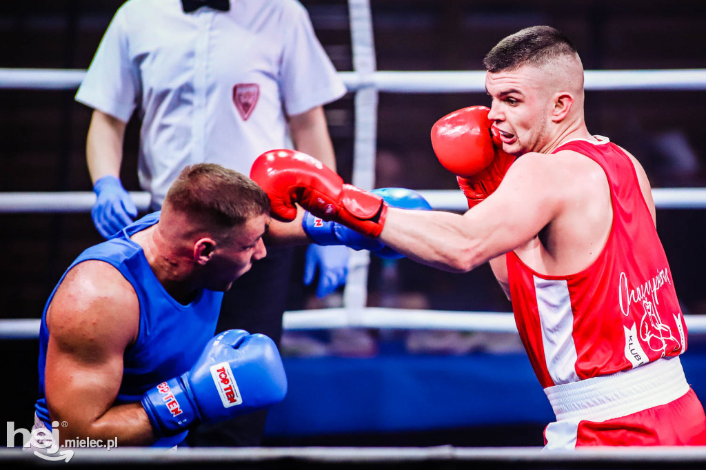 Mistrzostw Podkarpacia w Boksie Olimpijskim - gala finałowa