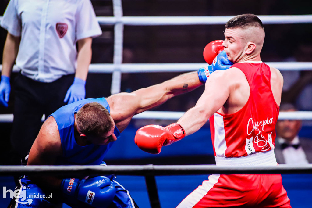 Mistrzostw Podkarpacia w Boksie Olimpijskim - gala finałowa