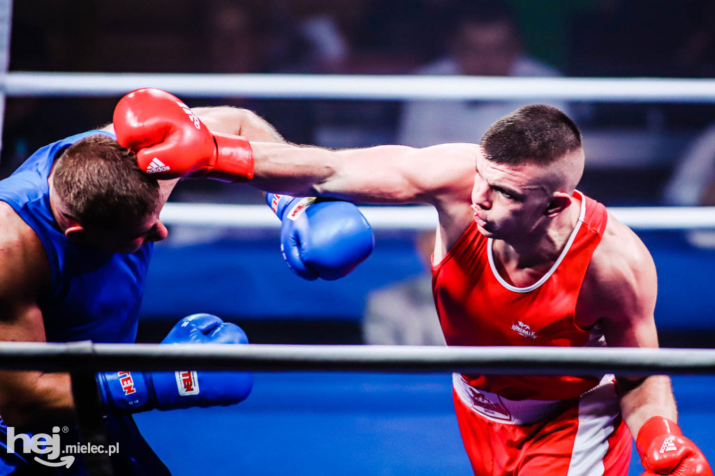 Mistrzostw Podkarpacia w Boksie Olimpijskim - gala finałowa