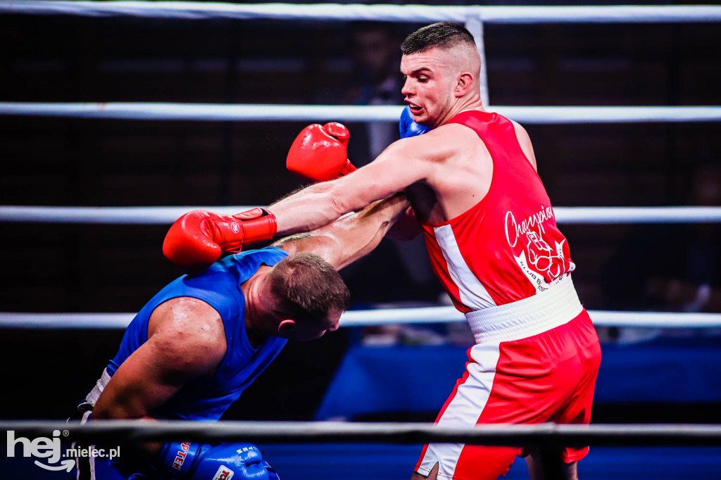 Mistrzostw Podkarpacia w Boksie Olimpijskim - gala finałowa