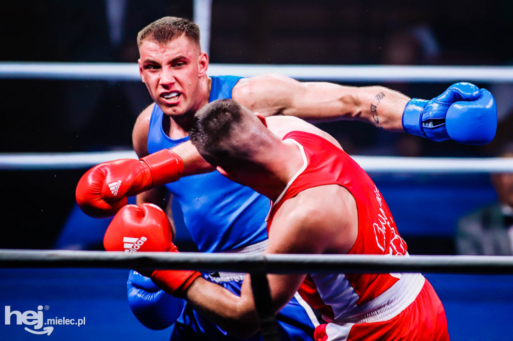 Mistrzostw Podkarpacia w Boksie Olimpijskim - gala finałowa