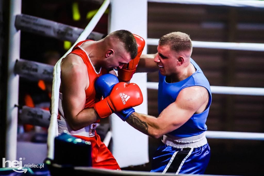 Mistrzostw Podkarpacia w Boksie Olimpijskim - gala finałowa