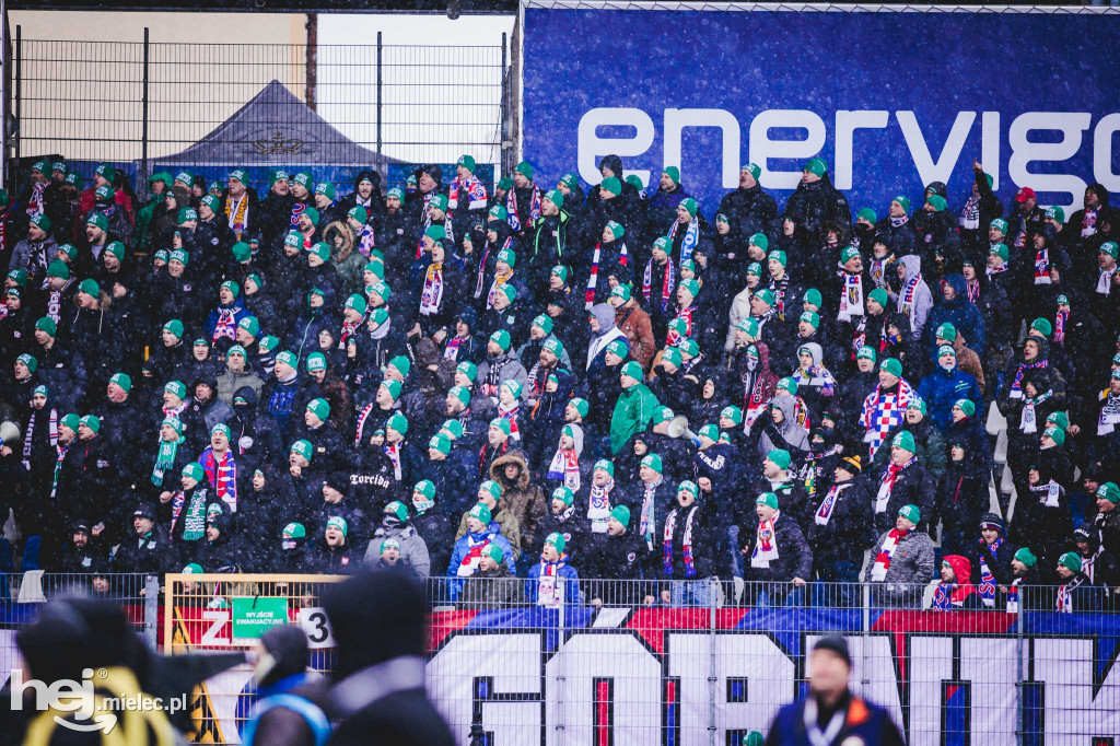 PGE FKS Stal Mielec - Górnik Zabrze [KIBICE]