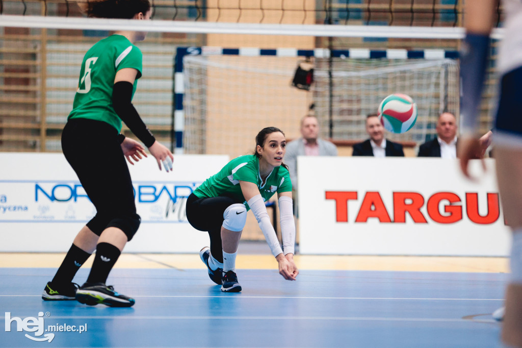 ITA Tools Stal Mielec - Algieria