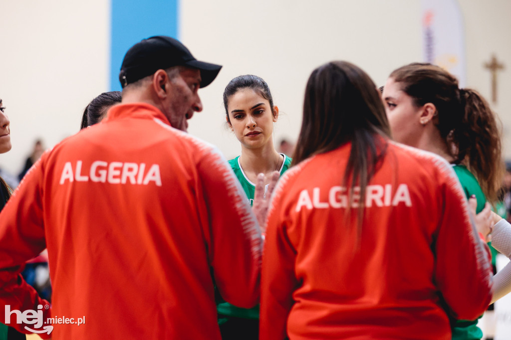 ITA Tools Stal Mielec - Algieria