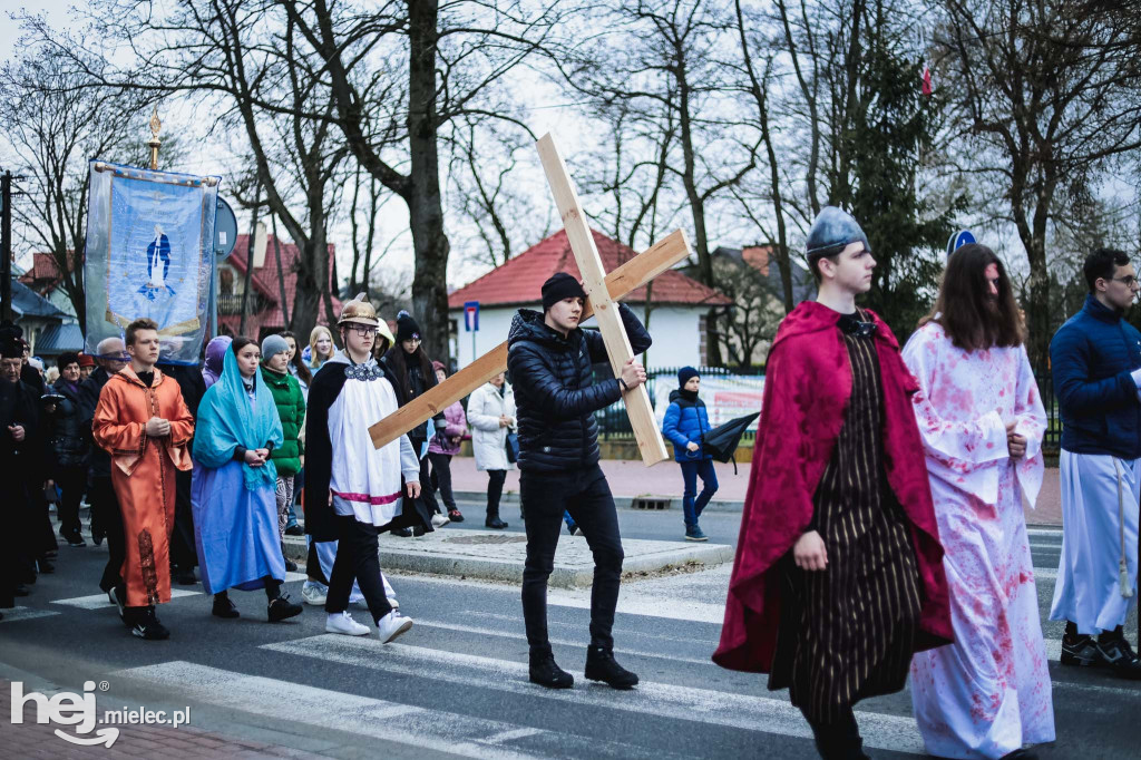 Droga krzyżowa Stare Miasto - Borek