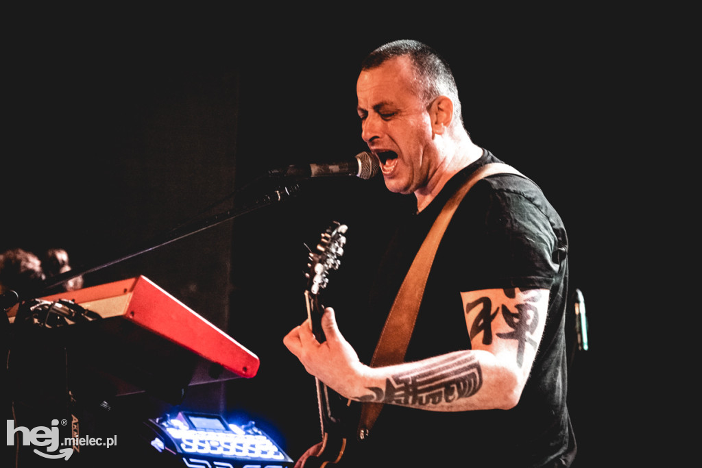 Tymon Tymański w Mielcu - Tapas Music Festival