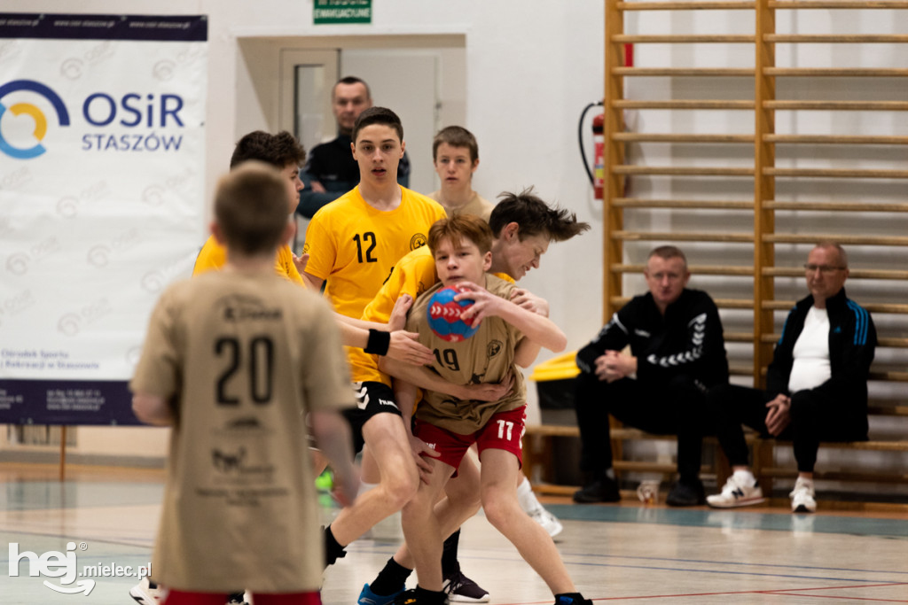 Enea Cup w Staszowie