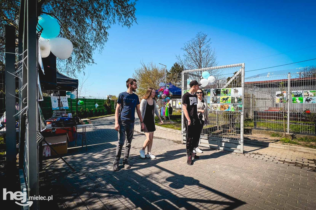 Dzień otwarty w mieleckim schronisku
