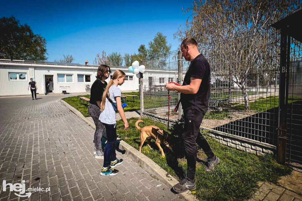 Dzień otwarty w mieleckim schronisku