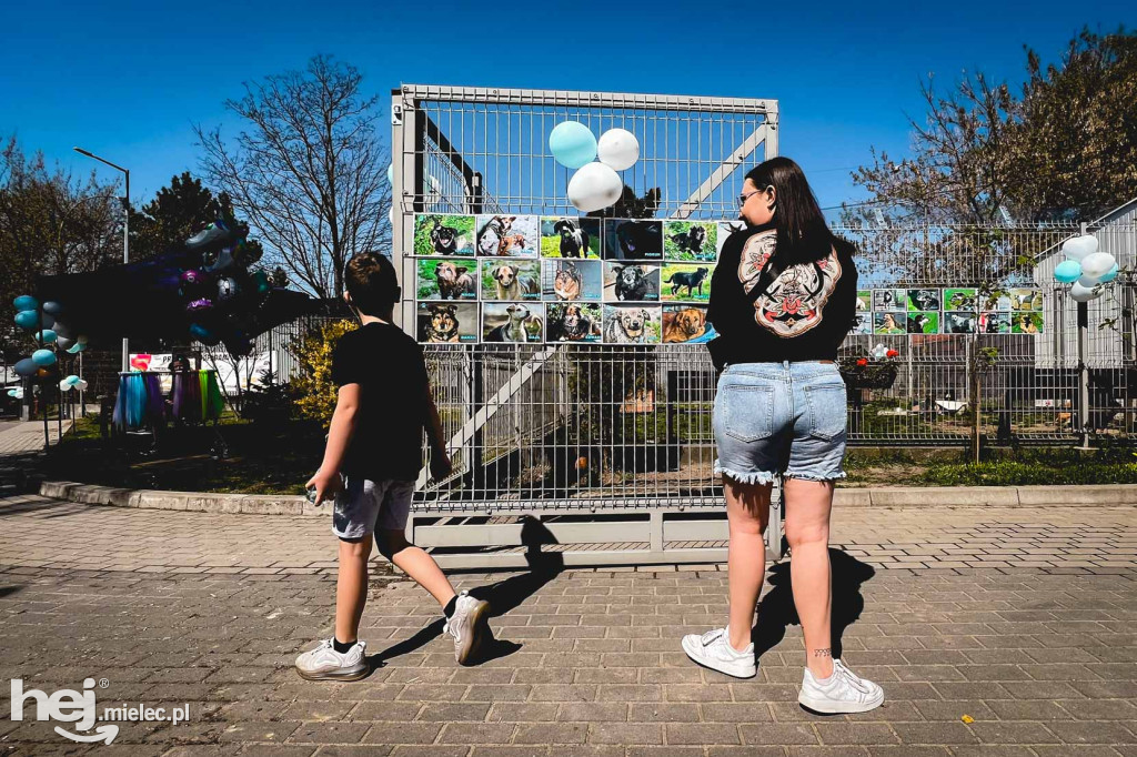 Dzień otwarty w mieleckim schronisku