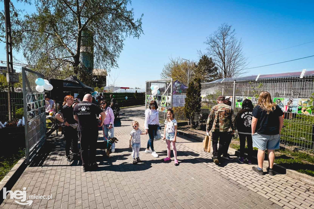 Dzień otwarty w mieleckim schronisku