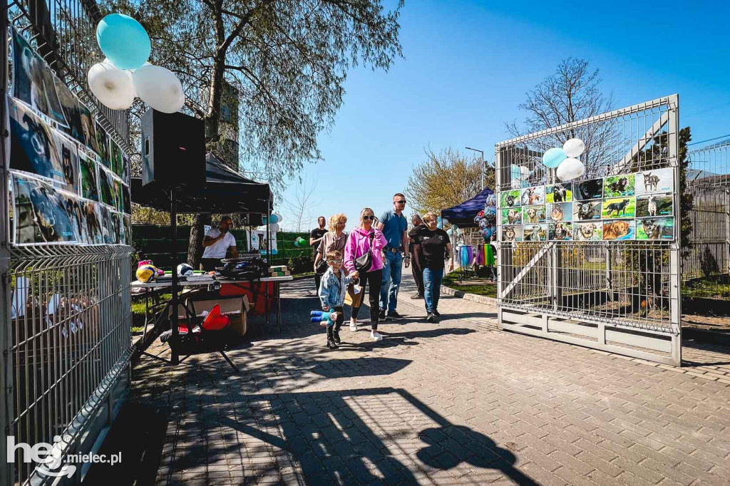Dzień otwarty w mieleckim schronisku