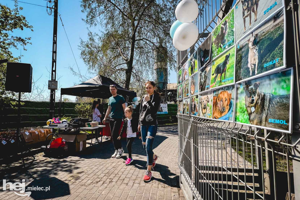 Dzień otwarty w mieleckim schronisku