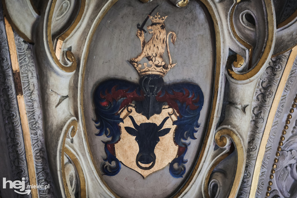 Poznaj basztę Falconiego