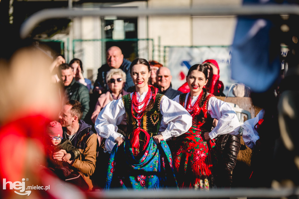 Majówka z folklorem. Rzeszowiacy na Górce