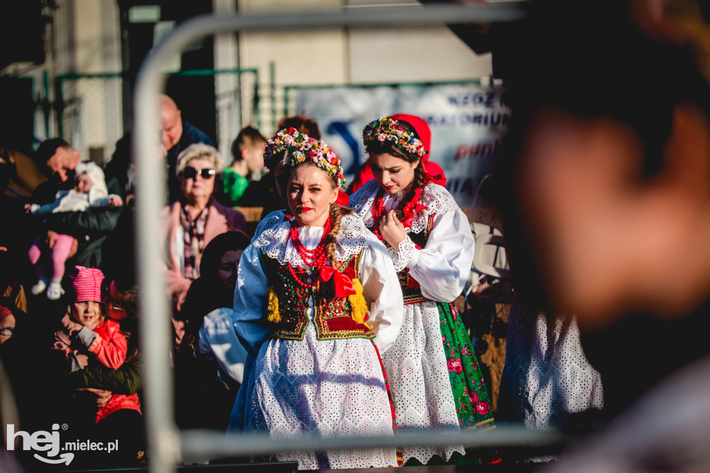 Majówka z folklorem. Rzeszowiacy na Górce