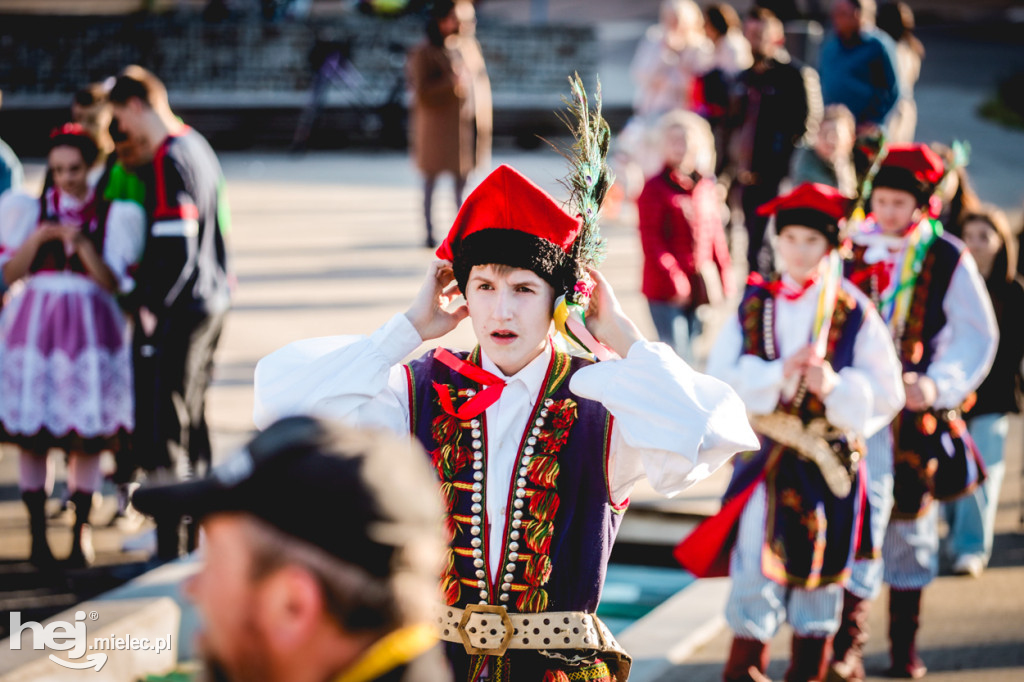 Majówka z folklorem. Rzeszowiacy na Górce