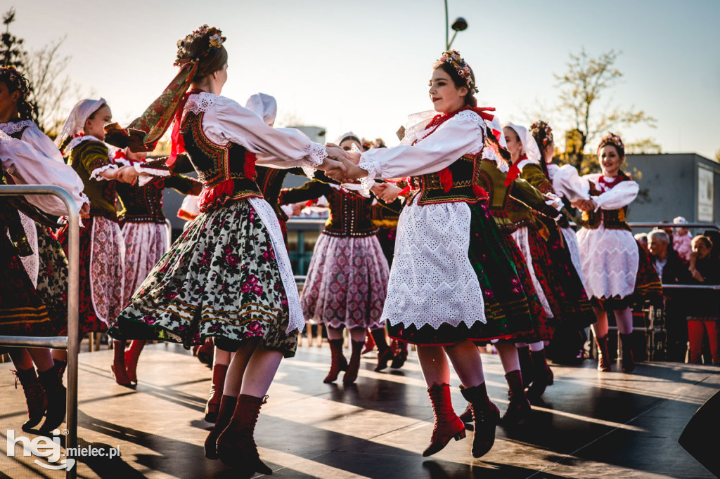 Majówka z folklorem. Rzeszowiacy na Górce