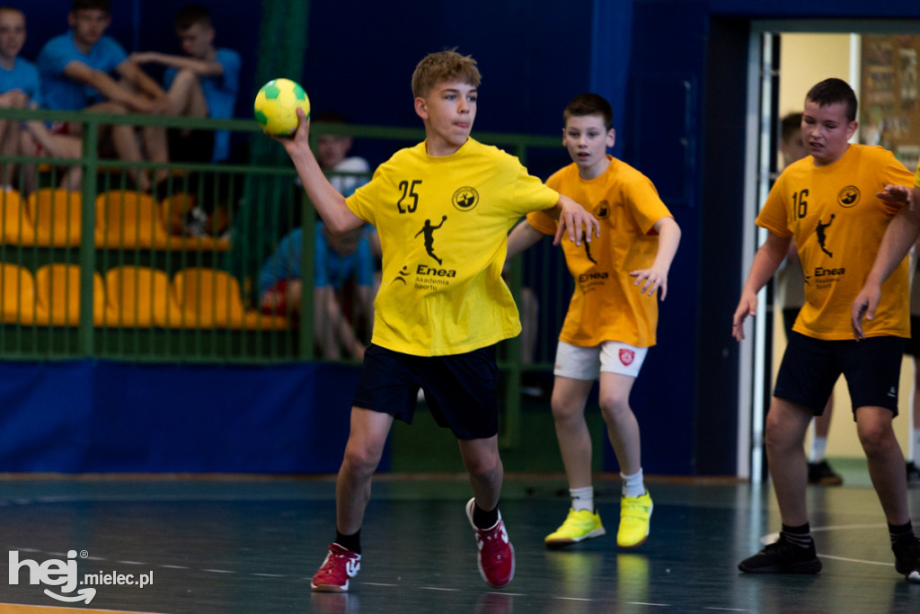 Finał Enea Cup