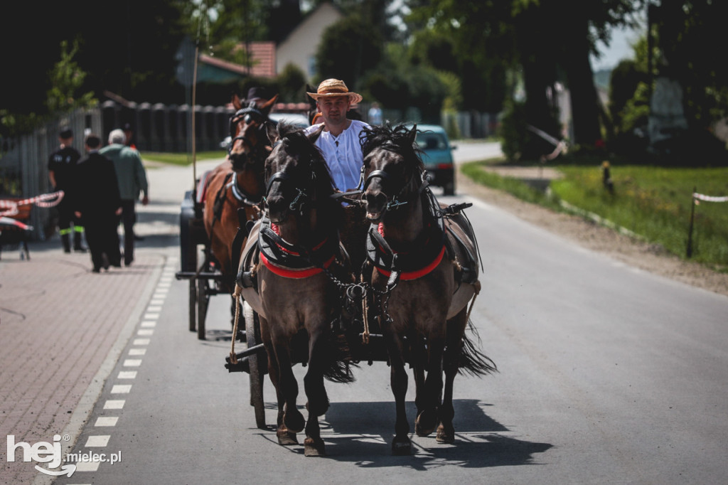 XIV Parada Konna w Żarówce