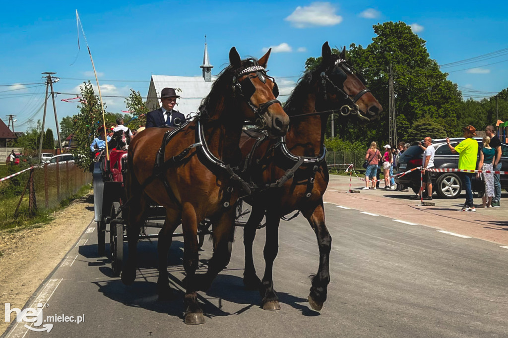 XIV Parada Konna w Żarówce